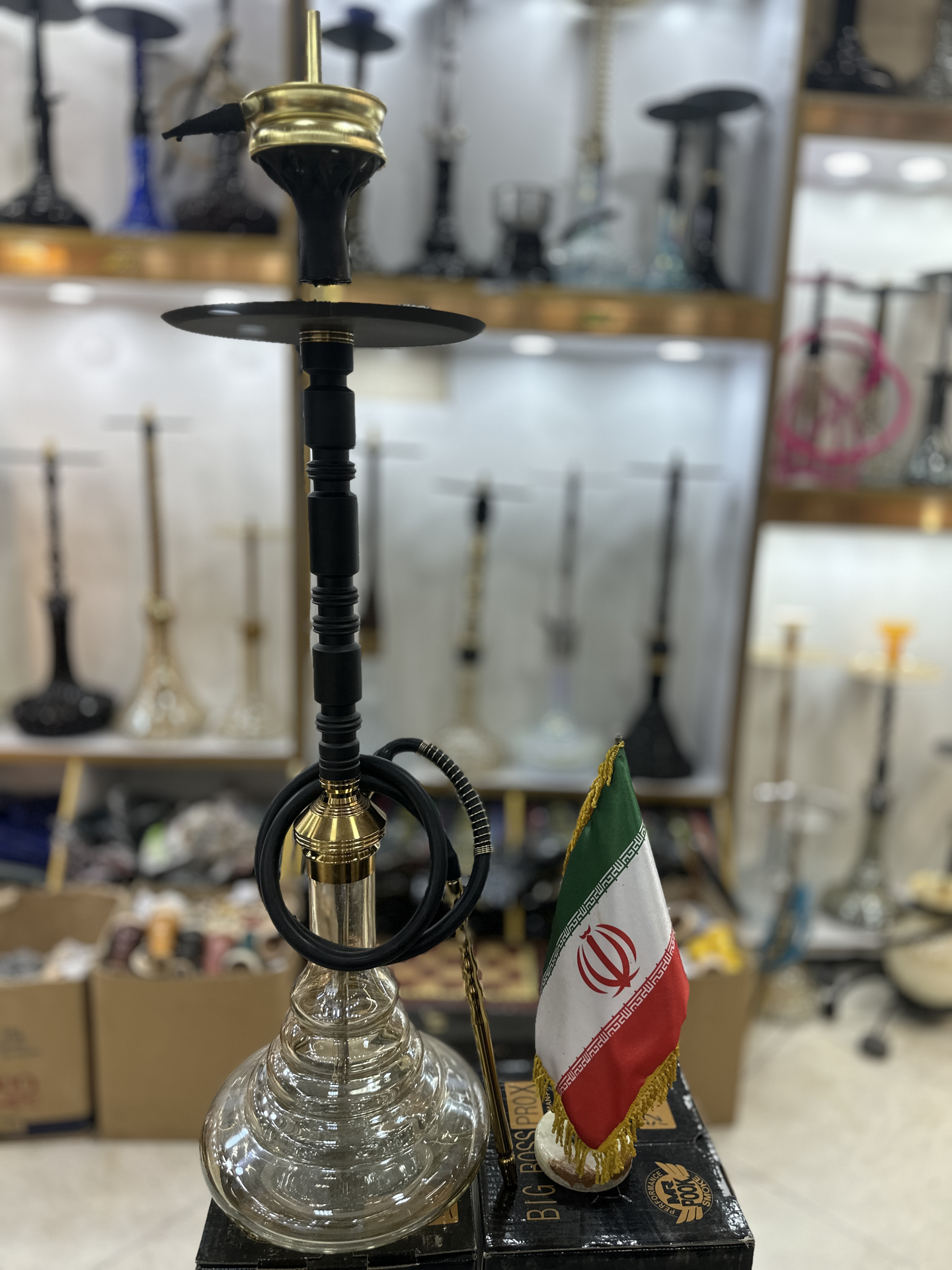 تصویر از تنه بلند ناظری